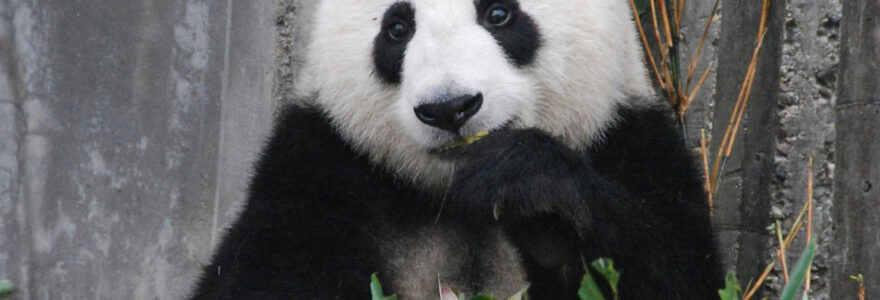 parcs zoologiques